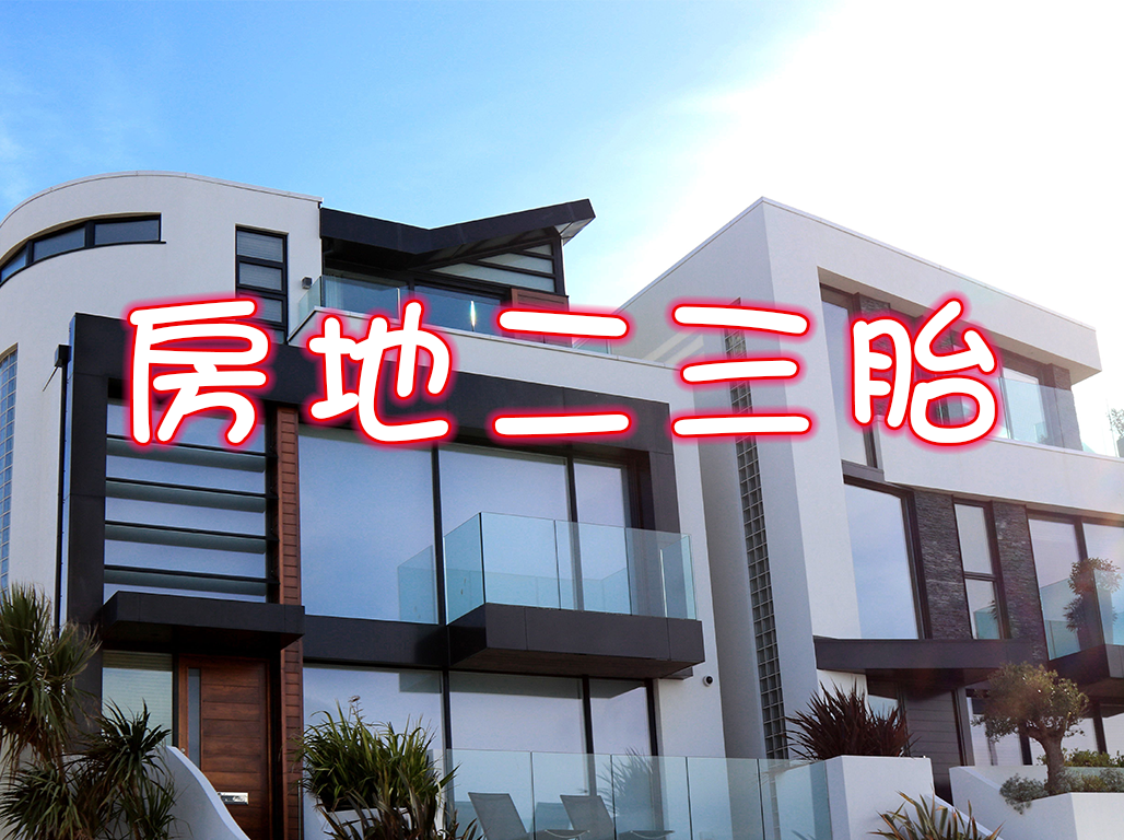 房地二三胎